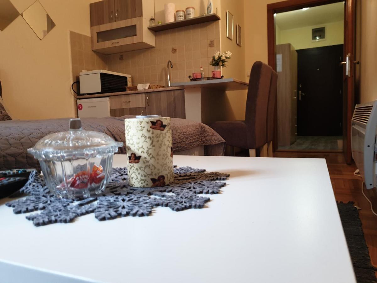 Studio Dunja Vrnjačka Banja Zewnętrze zdjęcie