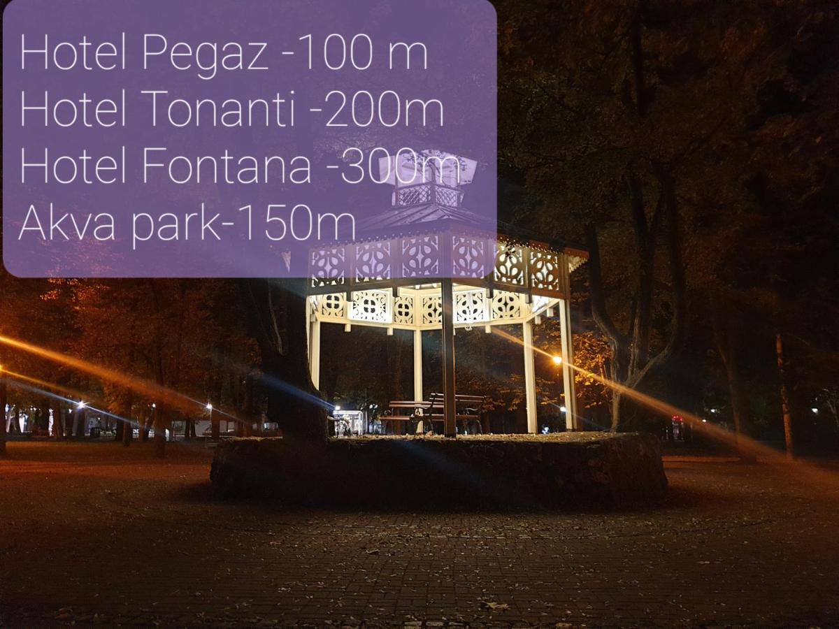 Studio Dunja Vrnjačka Banja Zewnętrze zdjęcie