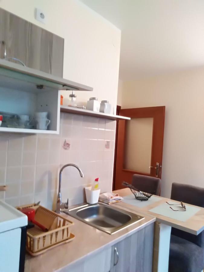 Studio Dunja Vrnjačka Banja Zewnętrze zdjęcie