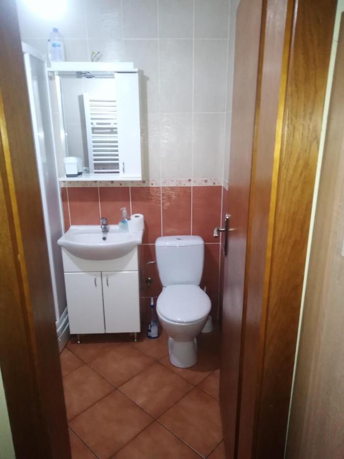 Studio Dunja Vrnjačka Banja Zewnętrze zdjęcie